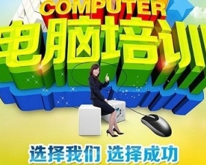 龙岗丹竹头附近哪里有学电脑办公入门操作