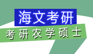 武汉海文考研